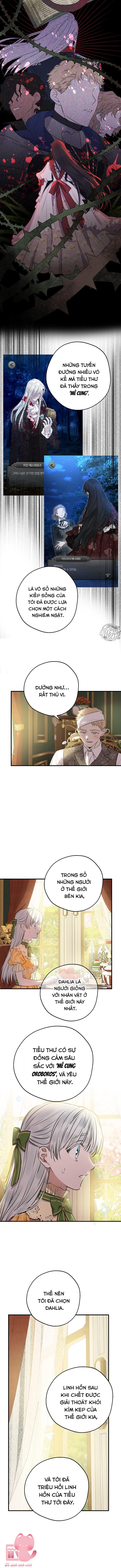 Những Nhân Vật Mạnh Nhất Thế Giới Ám Ảnh Tôi Chap 132 - Trang 4