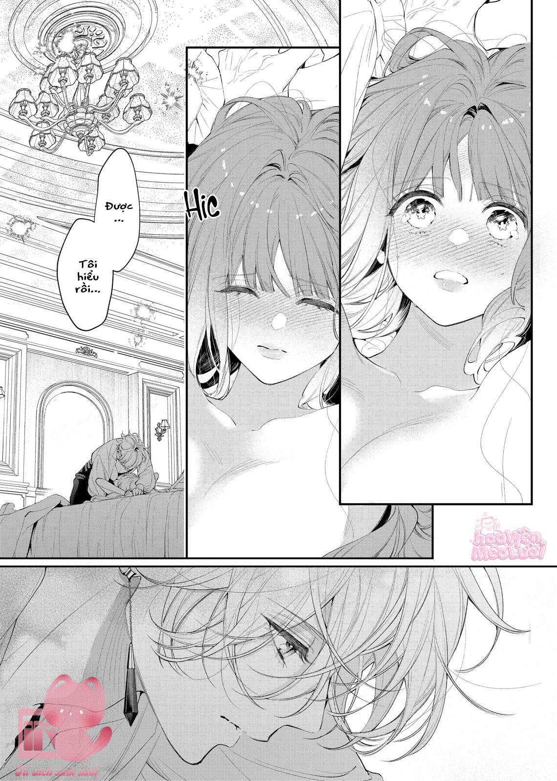 Hoa Hồng Ẩn Giấu Sao Băng Chapter 8 - Trang 4