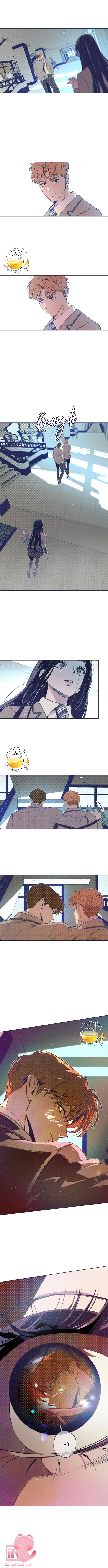 Trắc Nghiệm 4 Lựa Chọn Chap 8 - Next 