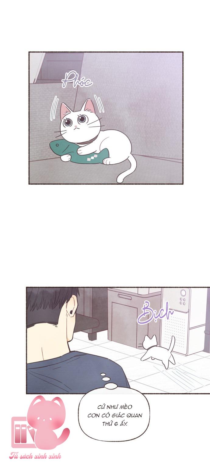 Cảm Xúc Chuyển Giao Chapter 23 - Trang 4