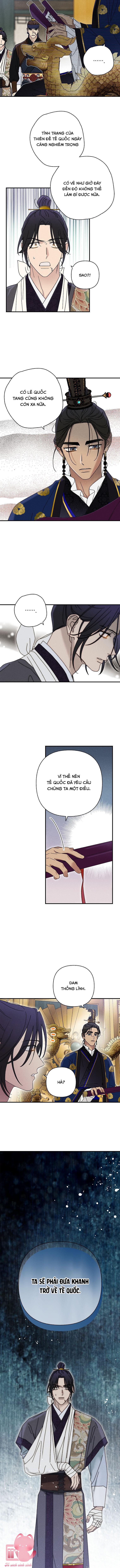 Quốc Hôn Chapter 31 - Trang 4