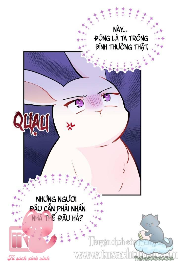 Quan Hệ Cộng Sinh Giữa Báo Đen Và Thỏ Trắng Chap 2 - Trang 2