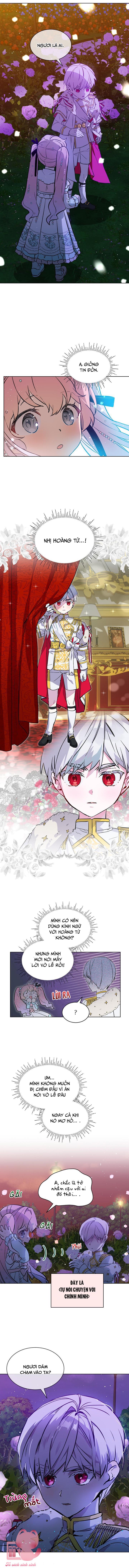 Quý Cô Thế Giới Ngầm Chap 13 - Trang 4