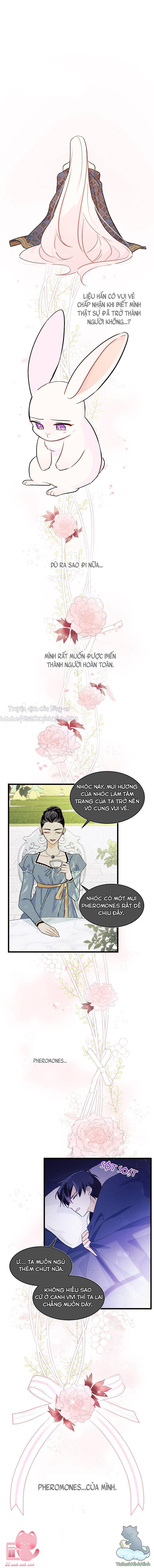 Quan Hệ Cộng Sinh Giữa Báo Đen Và Thỏ Trắng Chap 22 - Trang 2