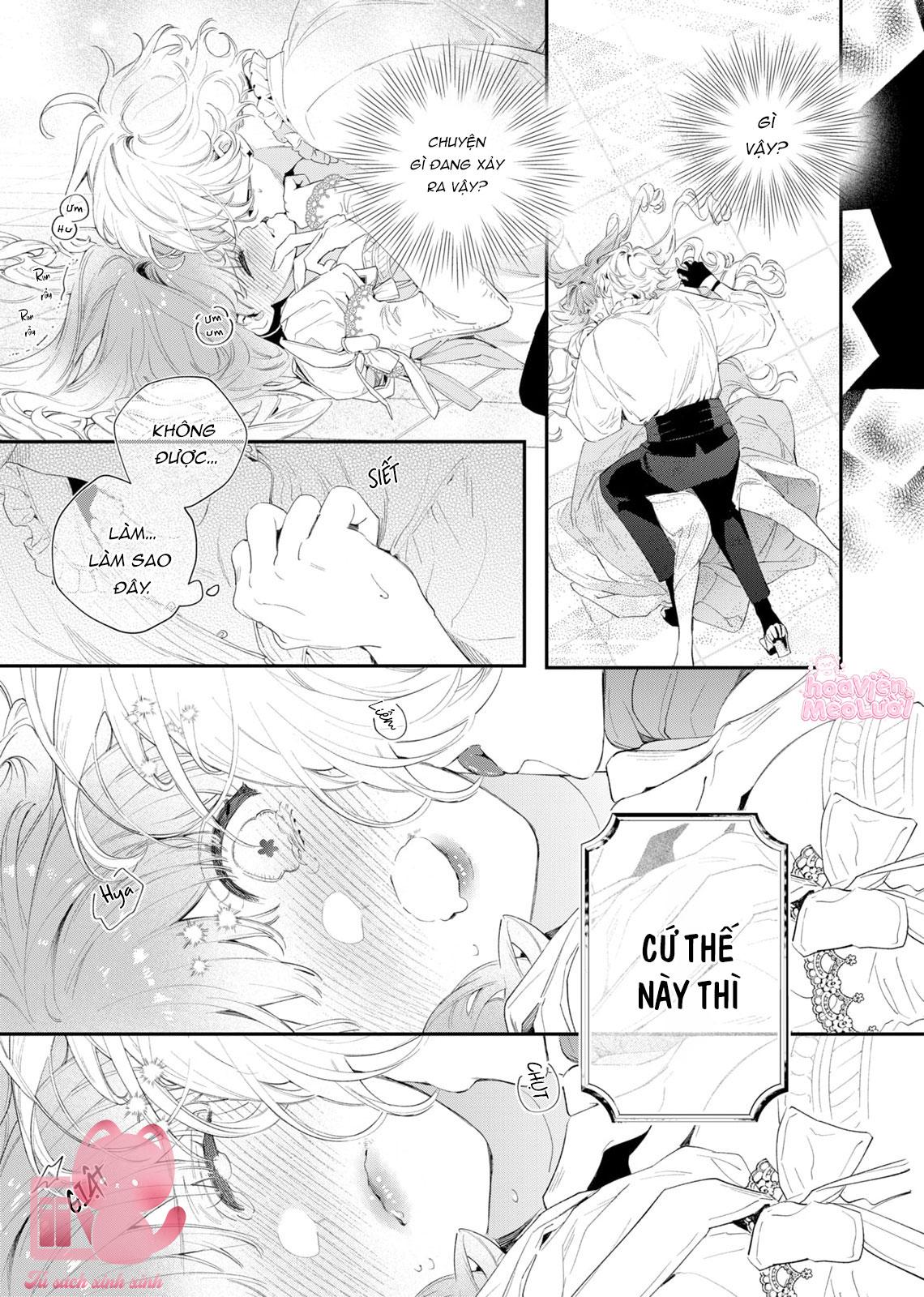 Hoa Hồng Ẩn Giấu Sao Băng Chapter 2 - Trang 4