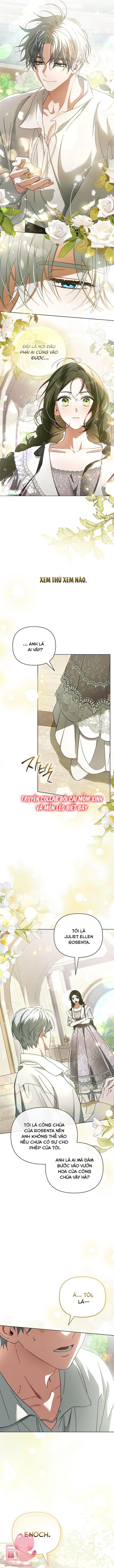 Dành Cho Nàng Juliet Xinh Đẹp Chapter 1 - Trang 4