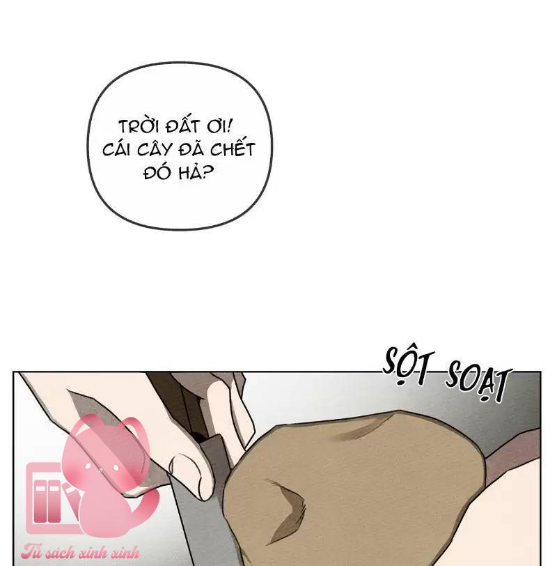 Dưới Tán Cây Sồi Chapter 19 - Trang 3