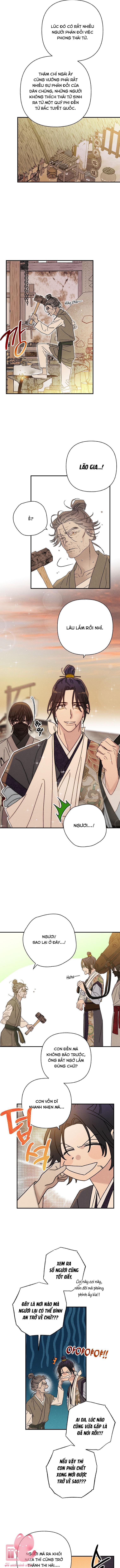 Quốc Hôn Chapter 41 - Trang 4