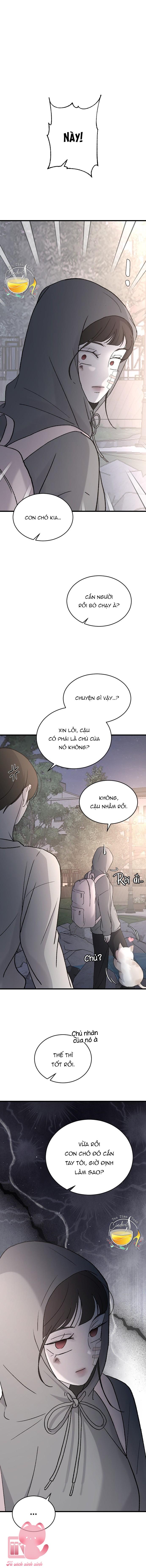 Ba Anh Trai Cực Phẩm Của Tôi Chap 99 - Trang 3