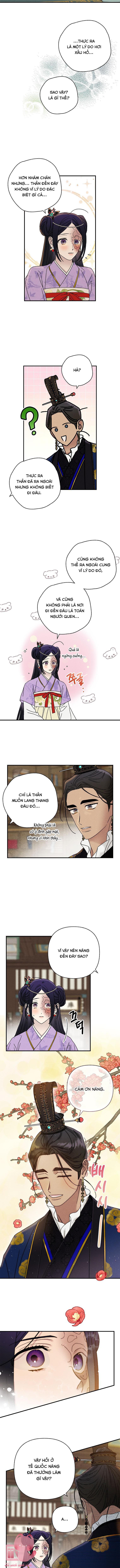 Quốc Hôn Chapter 30 - Trang 4