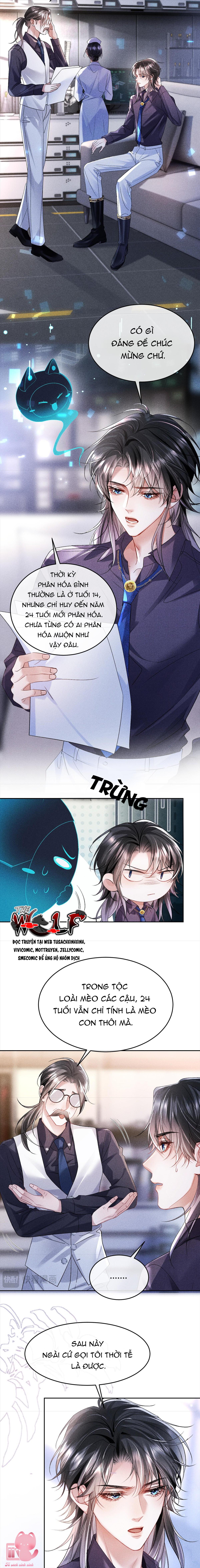 Chỉ Huy Lạnh Lùng Lại Mít Ướt Khi Yêu Chap 3 - Trang 3