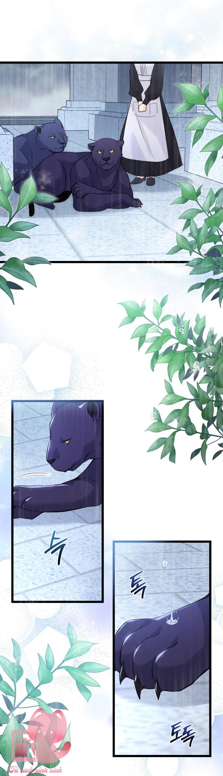 Quan Hệ Cộng Sinh Giữa Báo Đen Và Thỏ Trắng Chap 121 - Trang 2