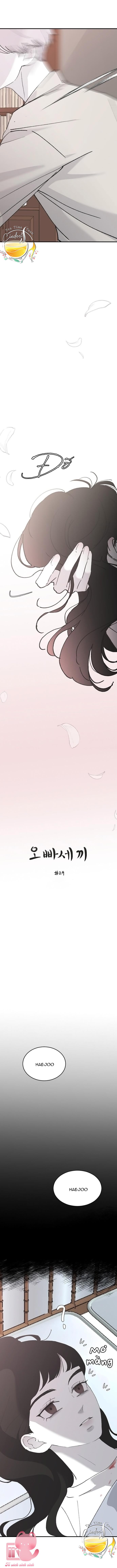 Ba Anh Trai Cực Phẩm Của Tôi Chap 29 - Trang 3