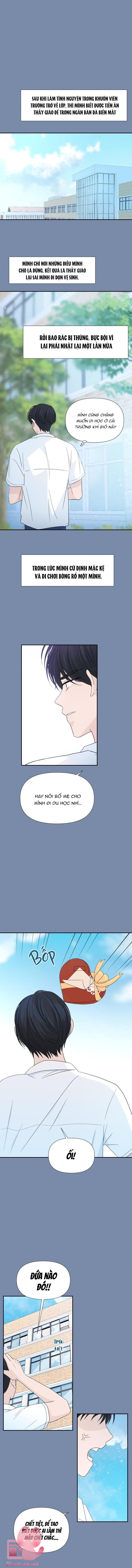 Lời Tỏ Tình Đi Lạc Chapter 45 - Trang 4