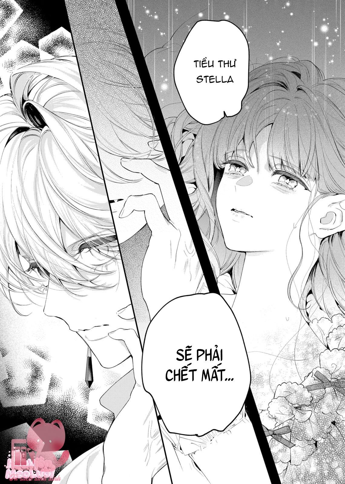 Hoa Hồng Ẩn Giấu Sao Băng Chapter 6 - Trang 4