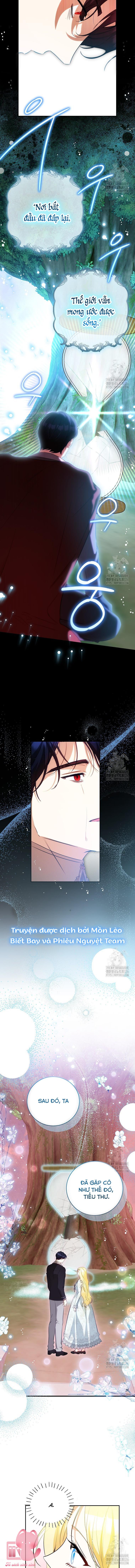 Hình Như Tôi Đã Xuyên Vào Cuốn Tiểu Thuyết Nào Đó Chapter 40 - Next Chapter 41