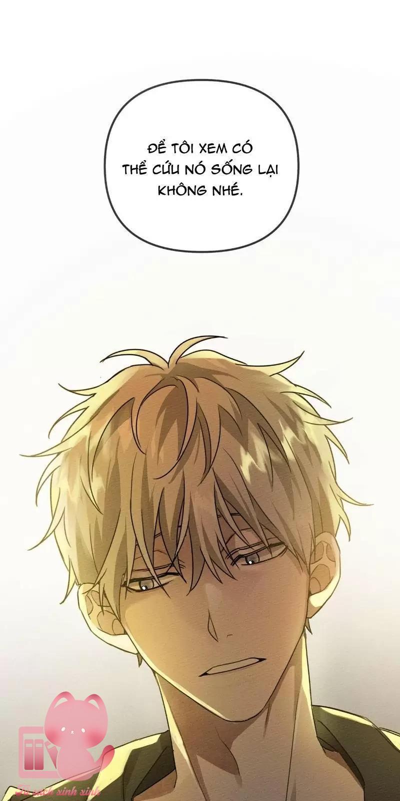 Dưới Tán Cây Sồi Chapter 18 - Trang 3