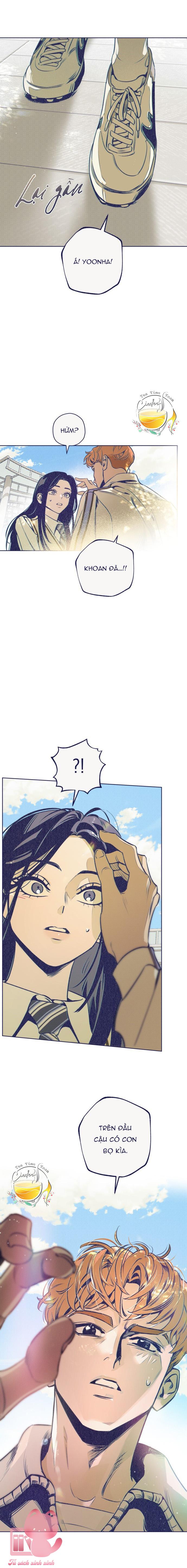 Trắc Nghiệm 4 Lựa Chọn Chap 5 - Trang 2