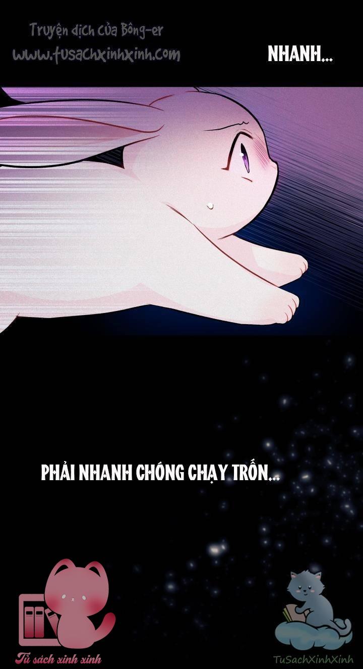 Quan Hệ Cộng Sinh Giữa Báo Đen Và Thỏ Trắng Chap 14 - Trang 2