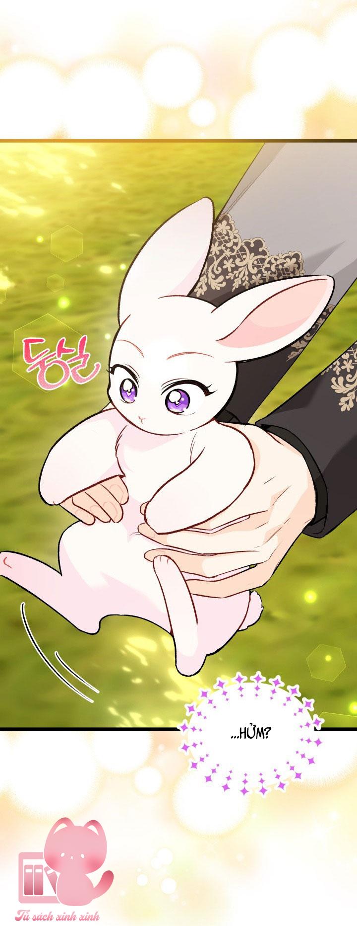 Quan Hệ Cộng Sinh Giữa Báo Đen Và Thỏ Trắng Chap 127 - Trang 2