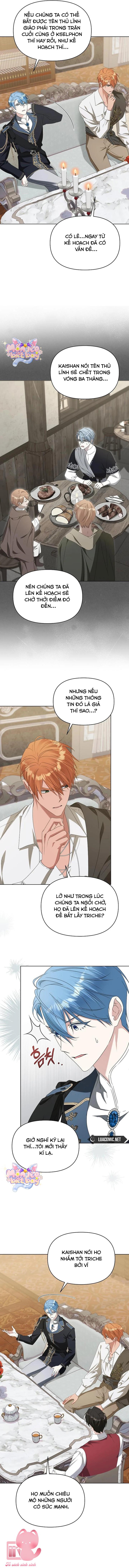 Tuy Là Hoàng Hậu, Nhưng Tôi Muốn Né Hoàng Đế Chap 77 - Trang 4