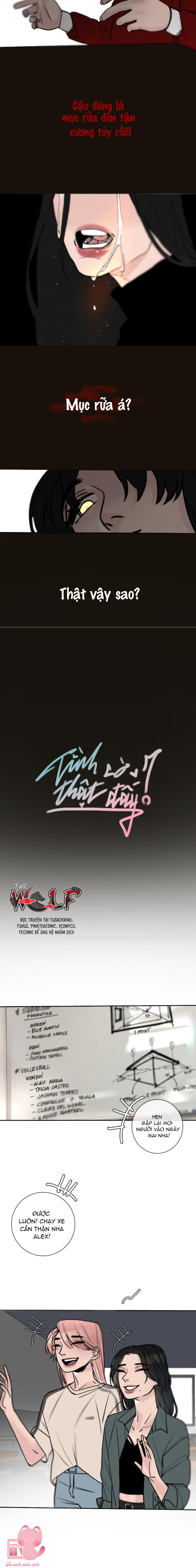 Tình Cờ Thật Đấy Chap 32 - Trang 3