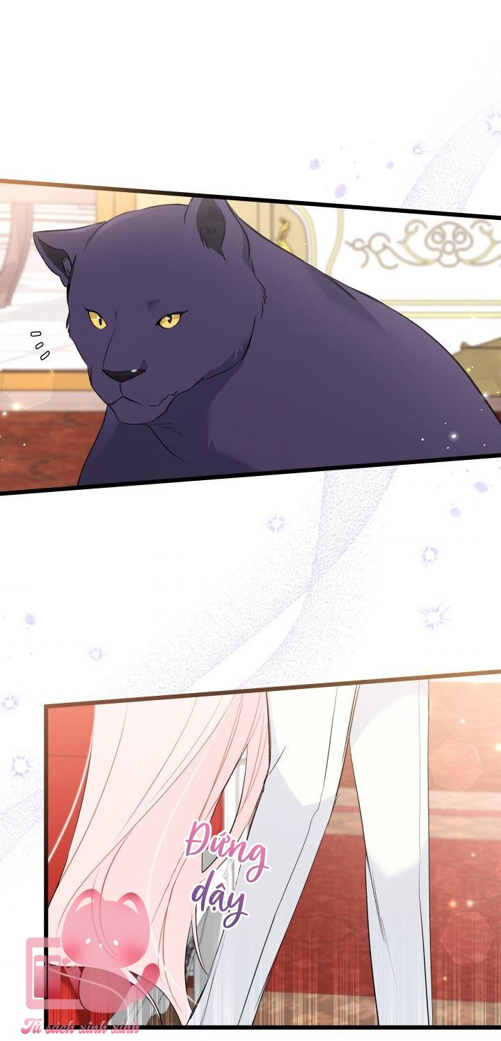 Quan Hệ Cộng Sinh Giữa Báo Đen Và Thỏ Trắng Chap 65 - Trang 2