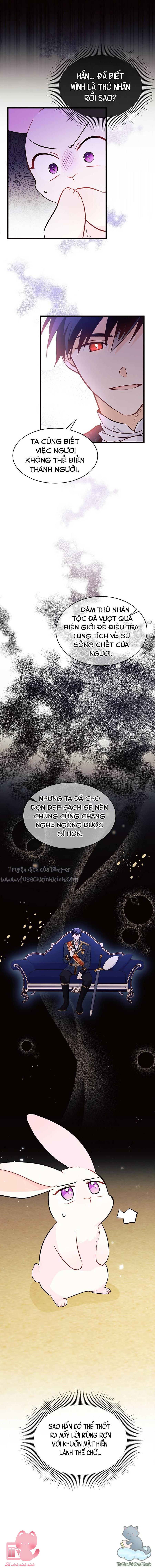 Quan Hệ Cộng Sinh Giữa Báo Đen Và Thỏ Trắng Chap 22 - Trang 2