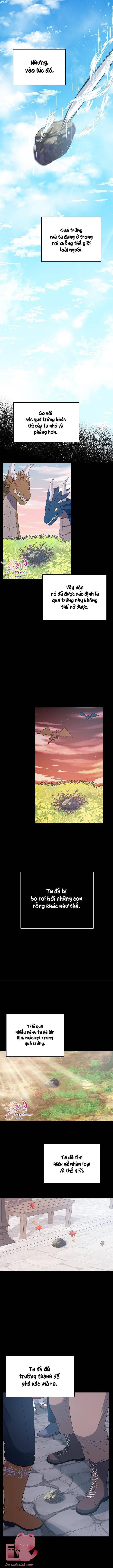 Ác Long Sống Làm Gì Cơ Chứ? Chap 12 - Trang 3