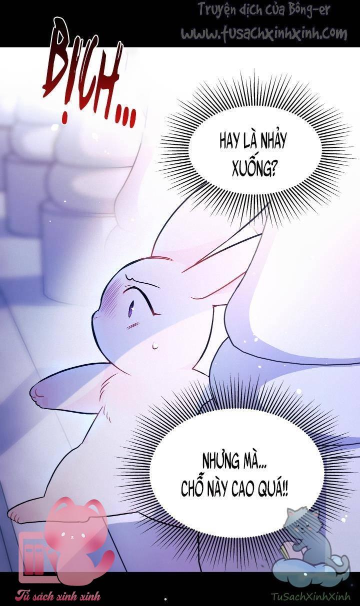 Quan Hệ Cộng Sinh Giữa Báo Đen Và Thỏ Trắng Chap 14 - Trang 2