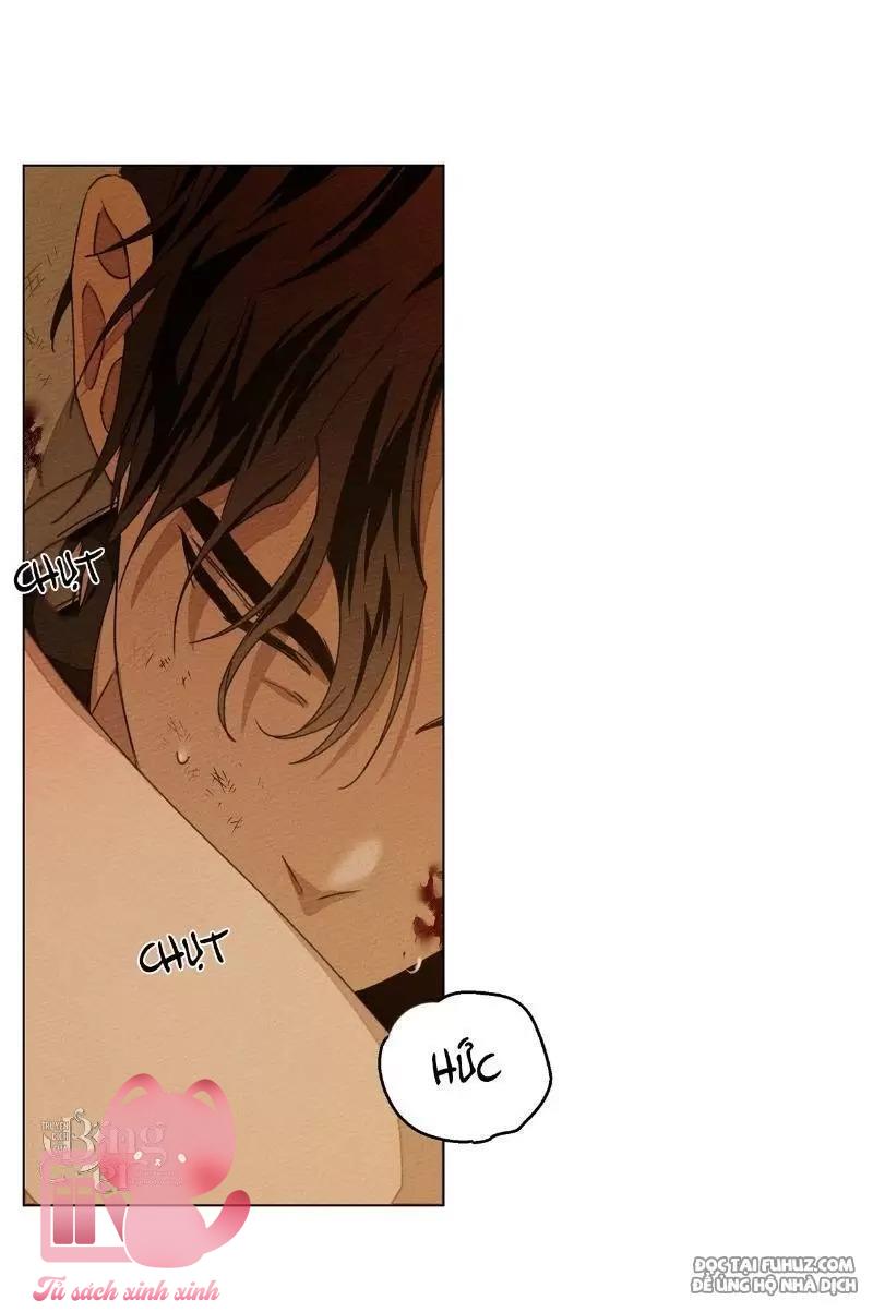 Dưới Tán Cây Sồi Chapter 27 - Trang 3