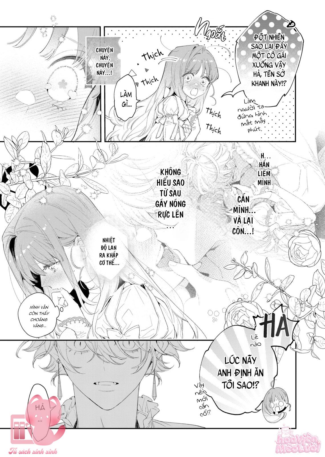 Hoa Hồng Ẩn Giấu Sao Băng Chapter 3 - Trang 4