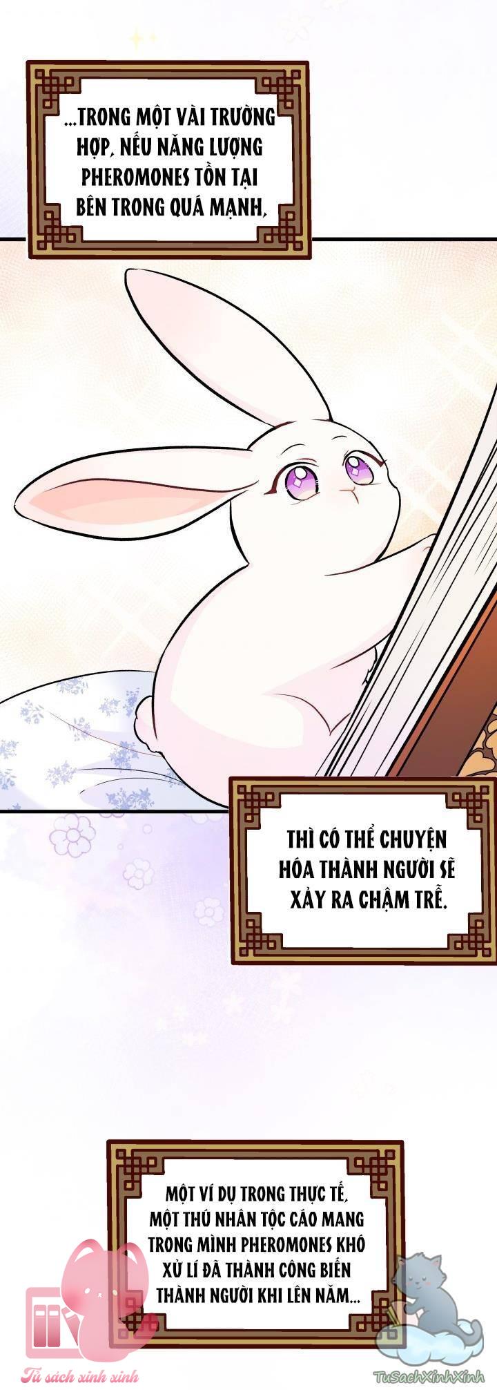 Quan Hệ Cộng Sinh Giữa Báo Đen Và Thỏ Trắng Chap 13 - Trang 2