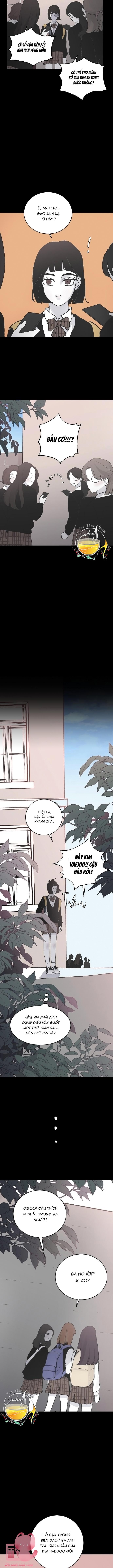 Ba Anh Trai Cực Phẩm Của Tôi Chap 12 - Trang 3