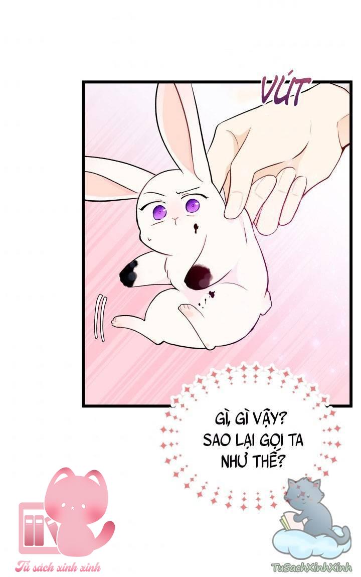 Quan Hệ Cộng Sinh Giữa Báo Đen Và Thỏ Trắng Chap 10 - Trang 2