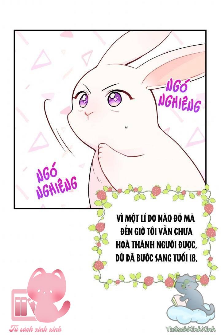 Quan Hệ Cộng Sinh Giữa Báo Đen Và Thỏ Trắng Chap 2 - Trang 2