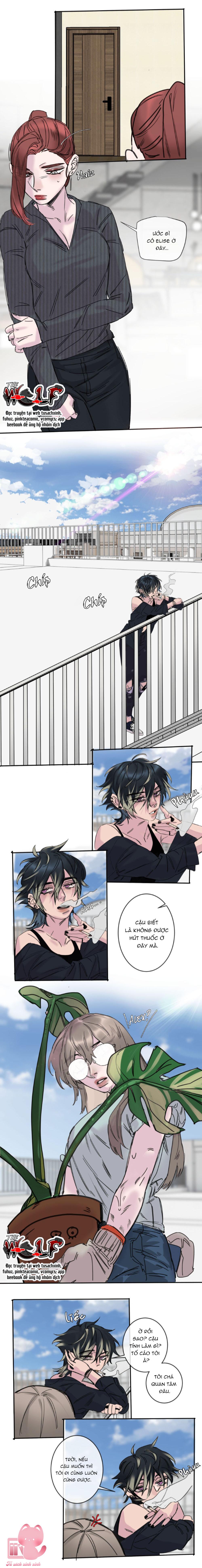 Tình Cờ Thật Đấy Chap 2.2 - Trang 3