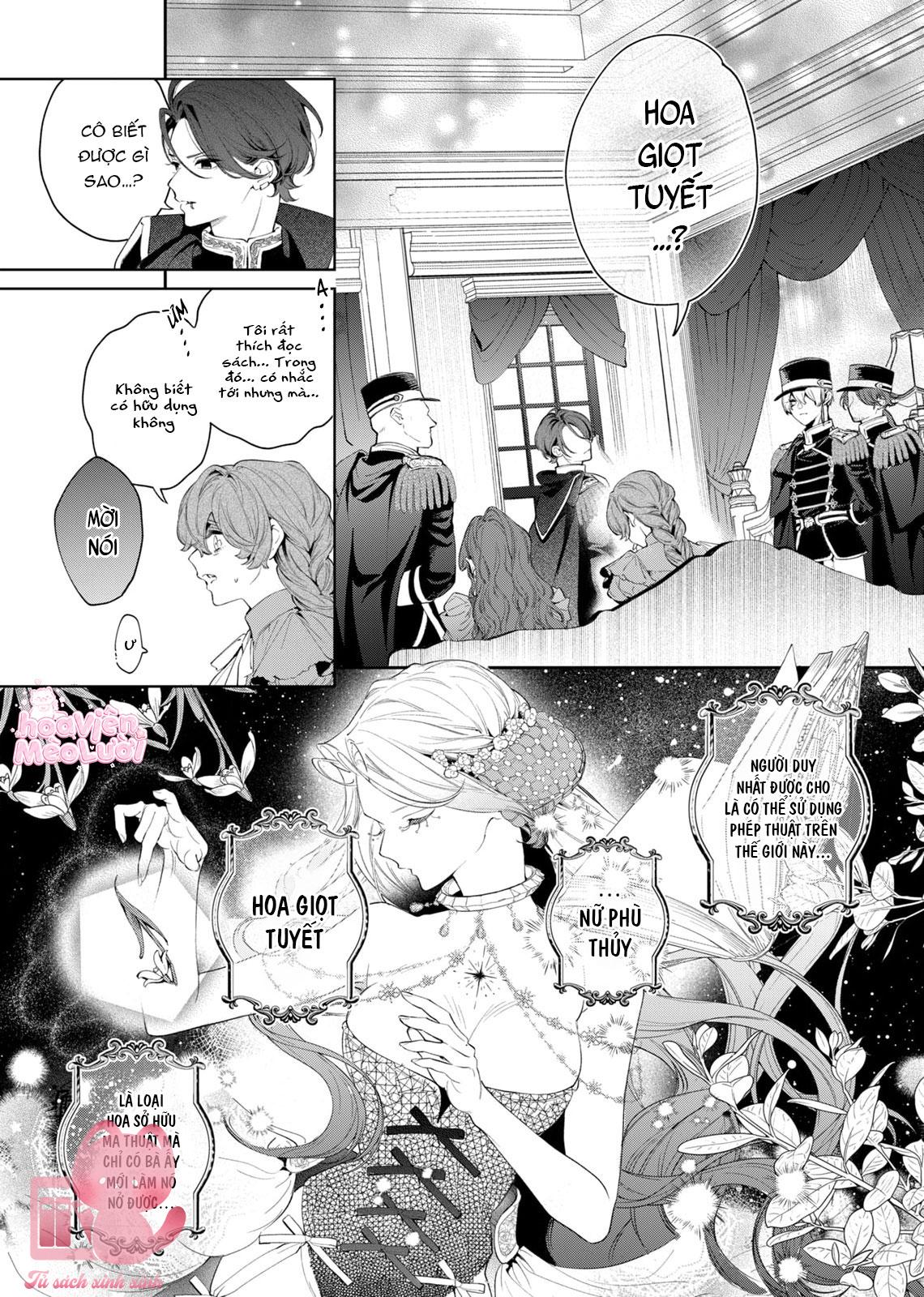 Hoa Hồng Ẩn Giấu Sao Băng Chapter 6 - Trang 4