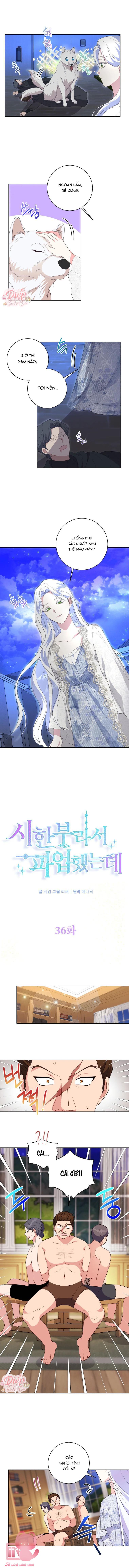 Tôi Đình Công Vì Đã Đến Điểm Cuối Sinh Mệnh Chap 36 - Trang 3