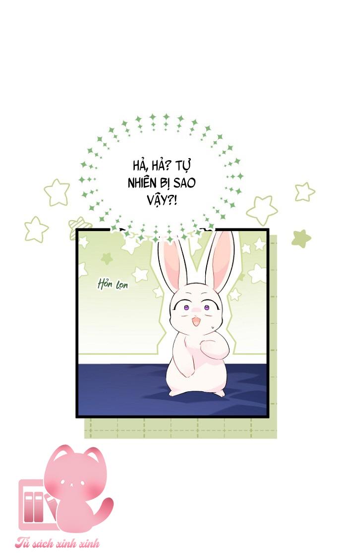 Quan Hệ Cộng Sinh Giữa Báo Đen Và Thỏ Trắng Chap 47 - Trang 2