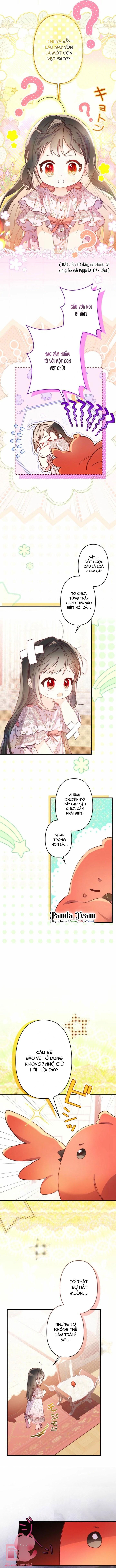 Kiếp Này Em Sẽ Không Sống Dưới Cái Bóng Của Người Chị Song Sinh Chap 11 - Trang 3