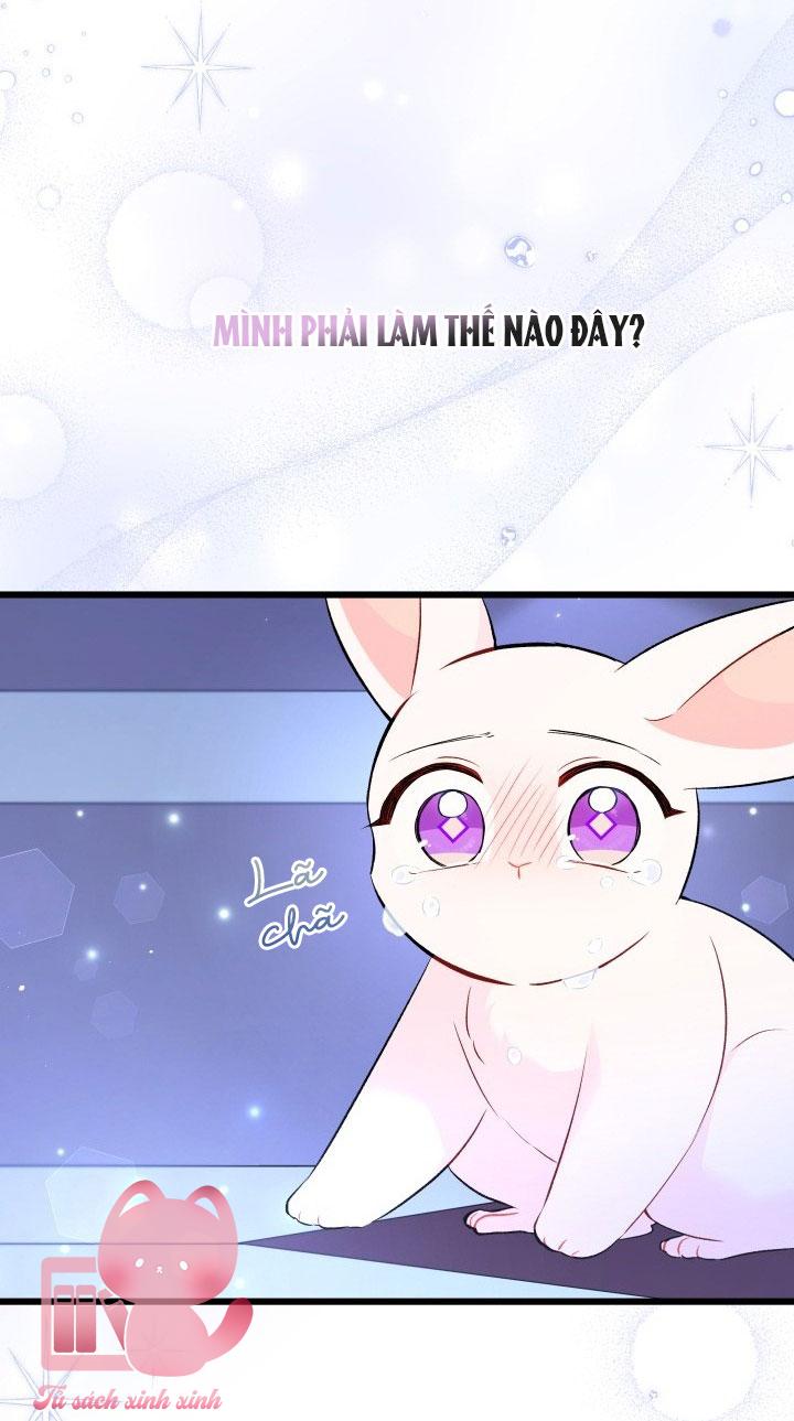 Quan Hệ Cộng Sinh Giữa Báo Đen Và Thỏ Trắng Chap 58 - Trang 2