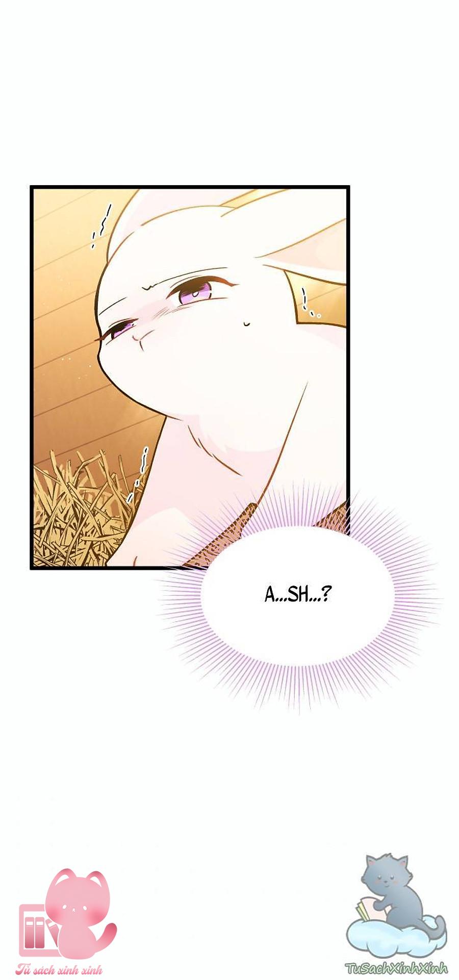 Quan Hệ Cộng Sinh Giữa Báo Đen Và Thỏ Trắng Chap 28 - Trang 2