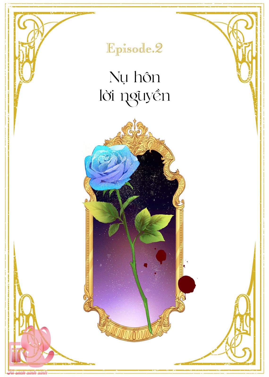 Hoa Hồng Ẩn Giấu Sao Băng Chapter 2 - Trang 4