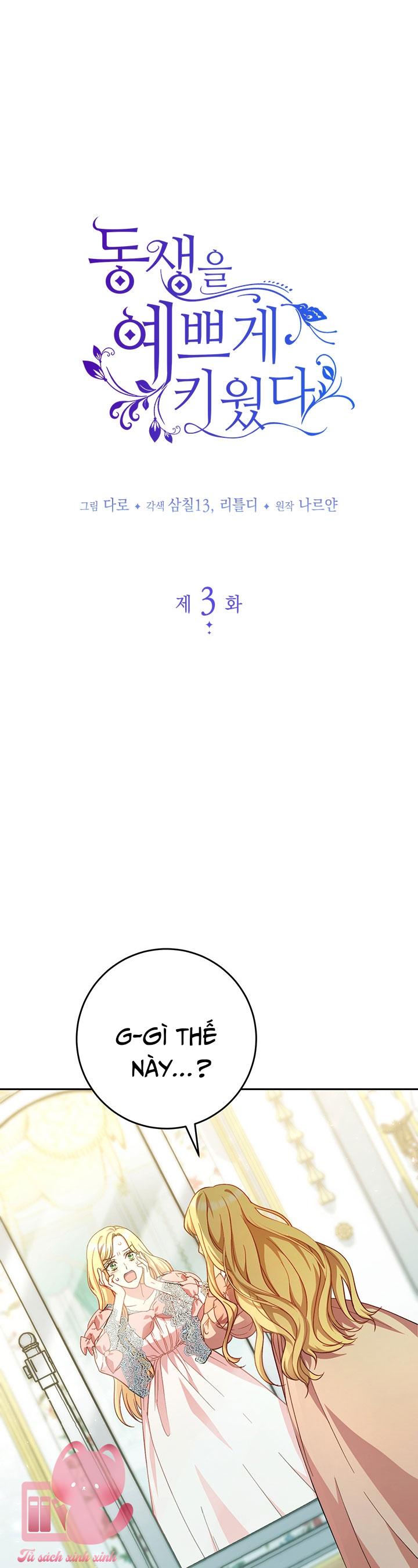 Tôi Đã Nuôi Dạy Em Gái Mình Một Cách Hoàn Hảo Chapter 3 - Trang 4