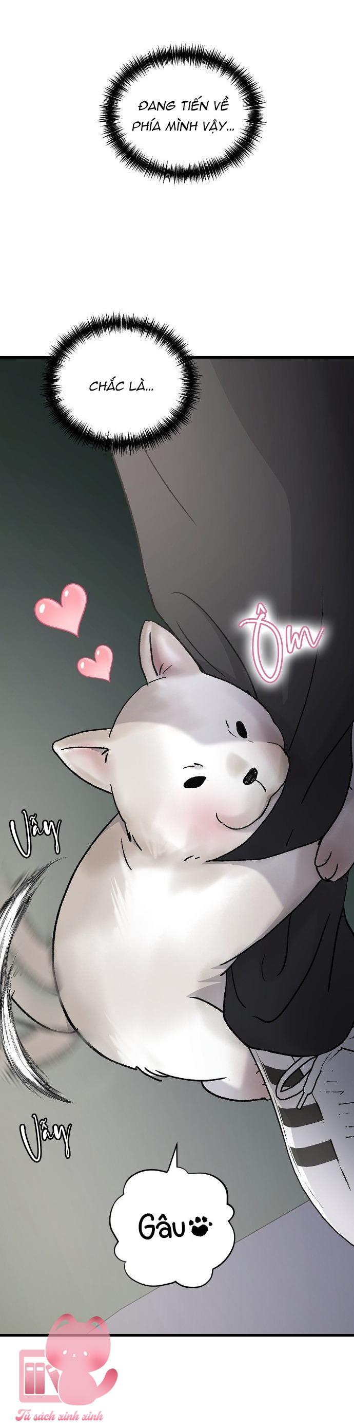 Ba Anh Trai Cực Phẩm Của Tôi Chap 98 - Trang 3