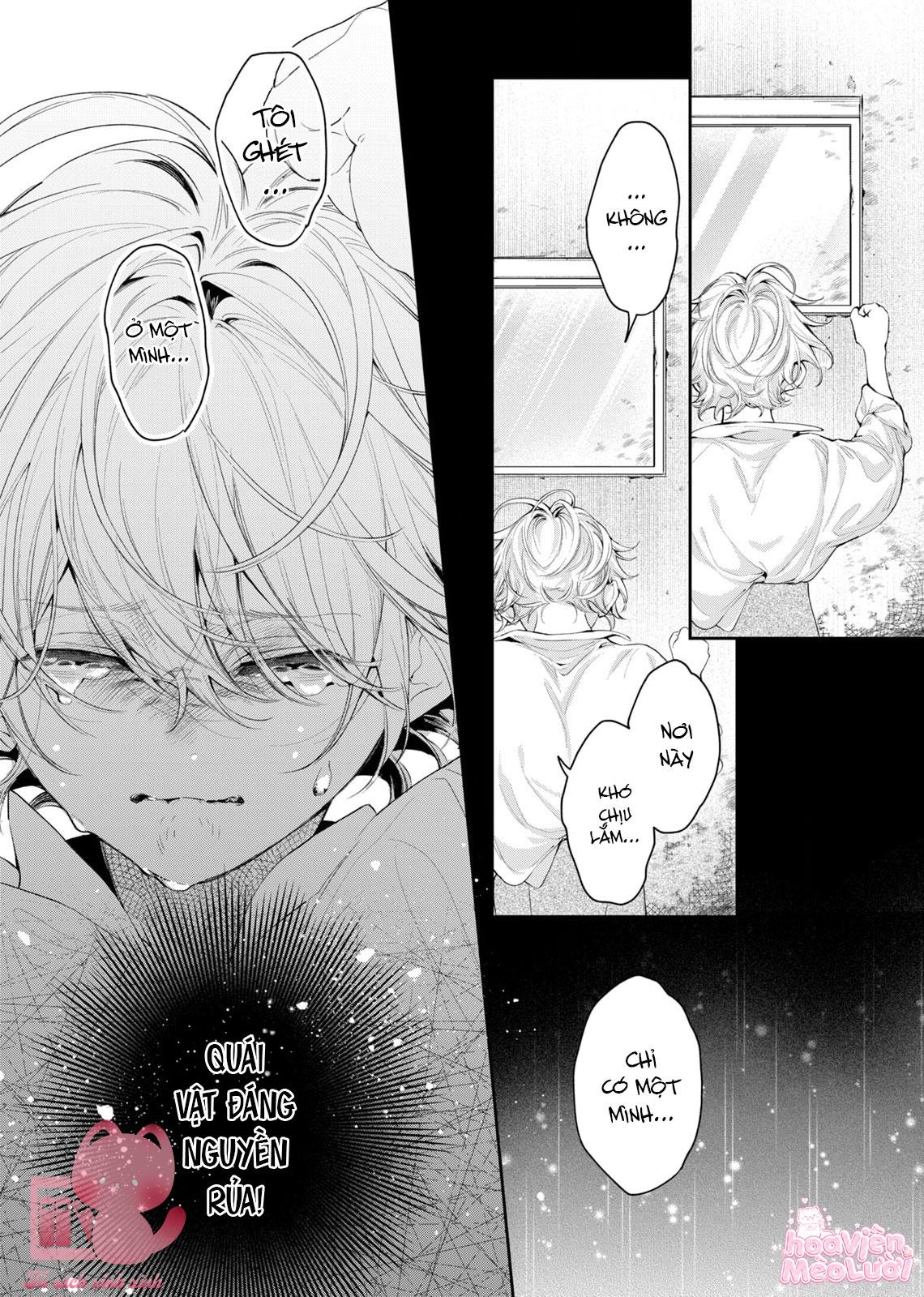 Hoa Hồng Ẩn Giấu Sao Băng Chapter 6 - Trang 4
