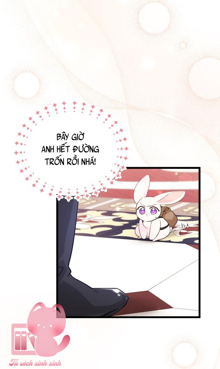 Quan Hệ Cộng Sinh Giữa Báo Đen Và Thỏ Trắng Chap 59 - Trang 2