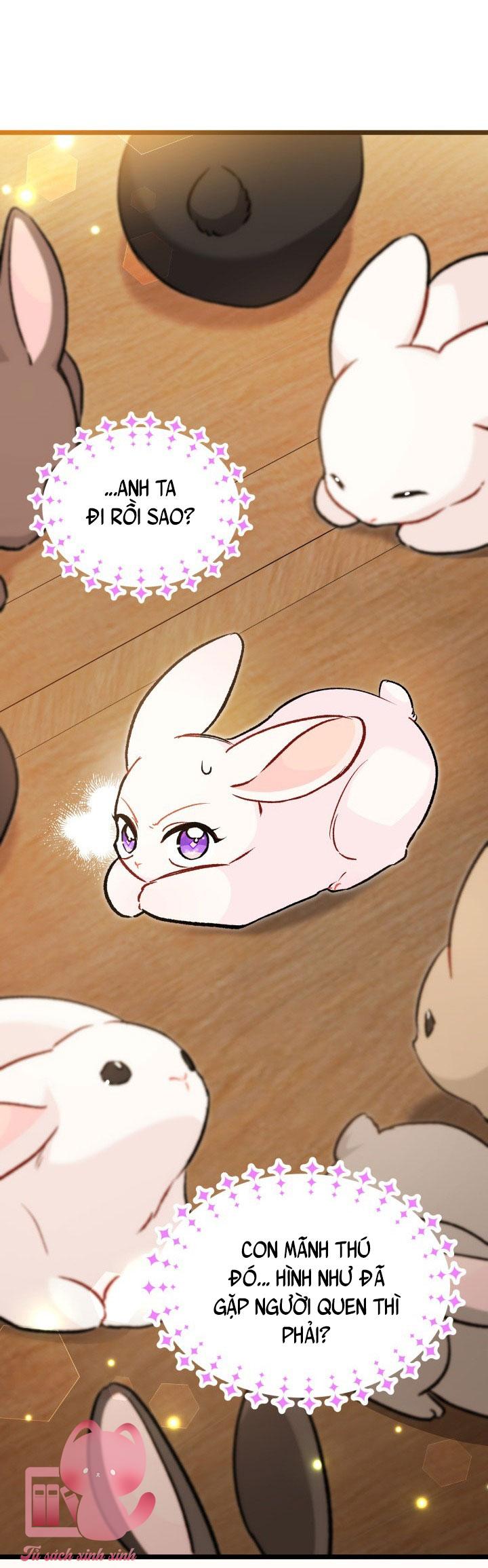 Quan Hệ Cộng Sinh Giữa Báo Đen Và Thỏ Trắng Chap 127 - Trang 2