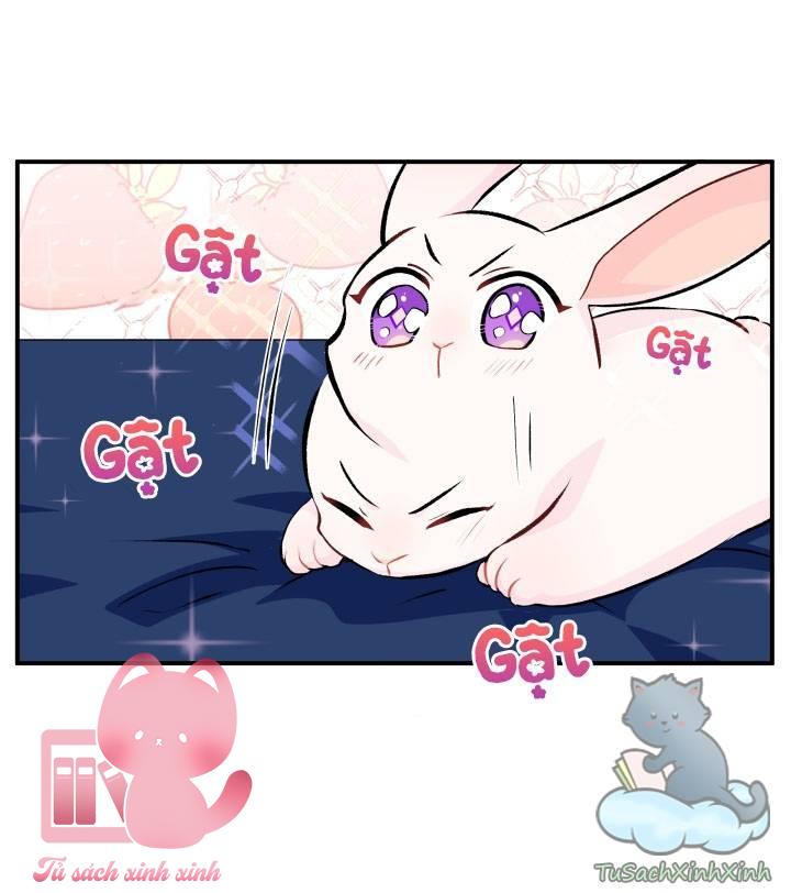 Quan Hệ Cộng Sinh Giữa Báo Đen Và Thỏ Trắng Chap 3 - Trang 2